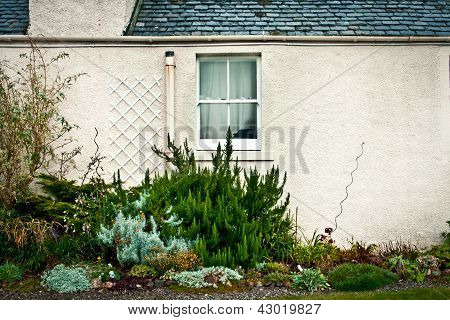 Cottage Garden