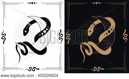Magic Snake Wraps Around Crescent. Mystical Illustration In A Trendy Style In 2 Various.