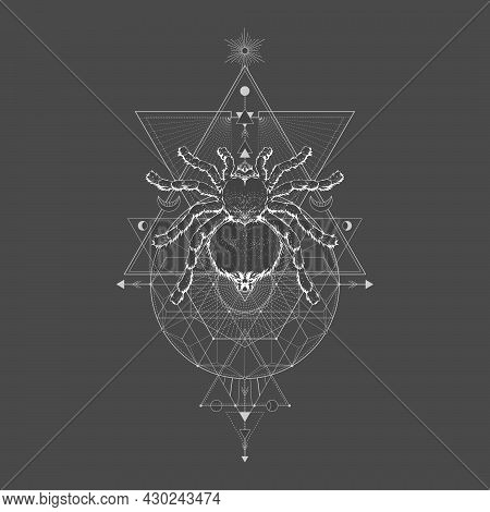 Vector Illustration With Hand Drawn Spider Tarantula And Sacred Geometric Symbol On Black Vintage Ba