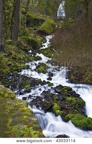 Trapsgewijze Water In de Columbia Gorge Oregon.