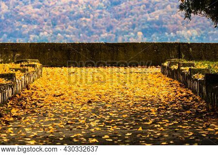 Beautiful Autumn Path On A Sunny Day. Autumn Season With Fallen Leaves In Autumn Colorful Park Alley