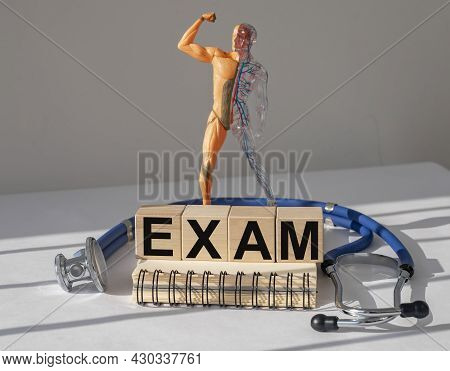 Medical Exam Concept. Inner Organs Examination And Check Up