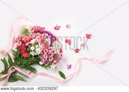 Phlox Flowers Bouquet With Ribbon, Abstract Floral Arrangement, Spring Or Autumn Background With Pla