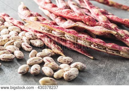 Cranberry beans. Borlotti beans. Beans pods on kitchen table.