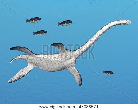 Plesiosaurus