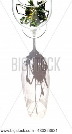 A Glass Of Medicinal Green Grass Casts A Shadow