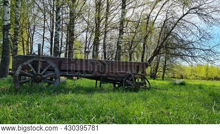 Wood, Farm, Old, Cart, Landscape, Grass, Sky, Field, Tree, Nature, Wagon, Rural, Wheel, Wooden, Anti