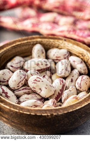 Cranberry beans. Borlotti beans in bowl. Beans pods.