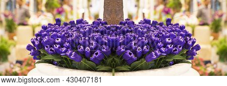 Purple Tulips In A Flower Shop Pot