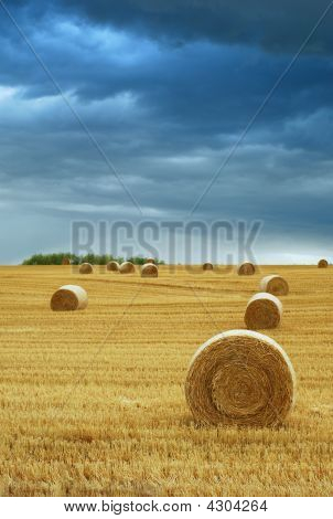 Heuballen im Bereich Gewitterhimmel