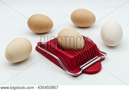 Household Device For Slicing Eggs. Hard-boiled Eggs Slicer Tool.