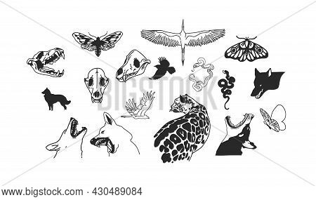 Hand Drawn Vector Abstract Stock Flat Graphic Illustrations Collection Set With Logo Elements, Magic