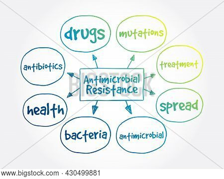 Antimicrobial Resistance Mind Map, Medical Concept For Presentations And Reports
