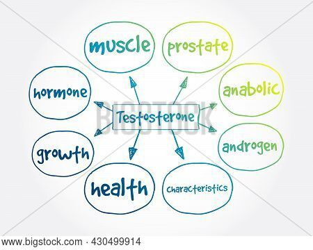 Testosterone Mind Map, Medical Concept For Presentations And Reports