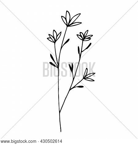 Botanical Linear Leaf Set. Abstract Minimalist Leaves Collection, Creative Herbal Art. Hand Drawn We