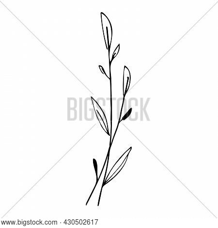 Botanical Linear Leaf Set. Abstract Minimalist Leaves Collection, Creative Herbal Art. Hand Drawn We
