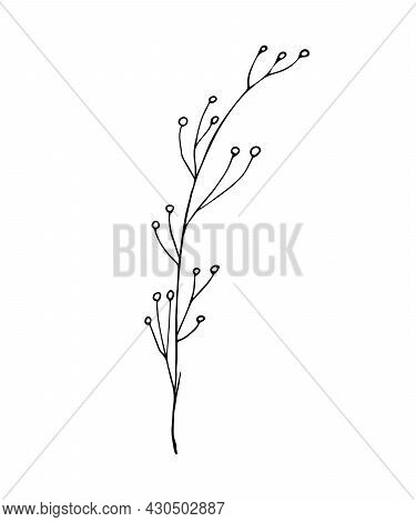 Botanical Linear Leaf Set. Abstract Minimalist Leaves Collection, Creative Herbal Art. Hand Drawn We