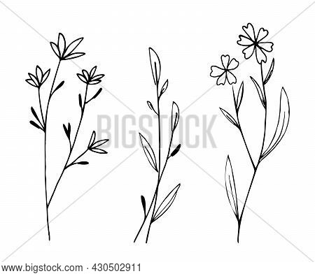 Botanical Linear Leaf Set. Abstract Minimalist Leaves Collection, Creative Herbal Art. Hand Drawn We
