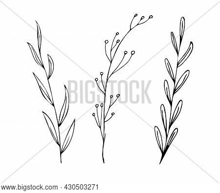 Botanical Linear Leaf Set. Abstract Minimalist Leaves Collection, Creative Herbal Art. Hand Drawn We