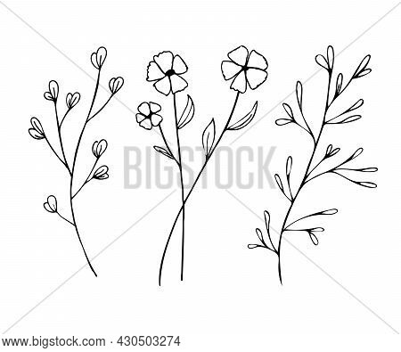 Botanical Linear Leaf Set. Abstract Minimalist Leaves Collection, Creative Herbal Art. Hand Drawn We
