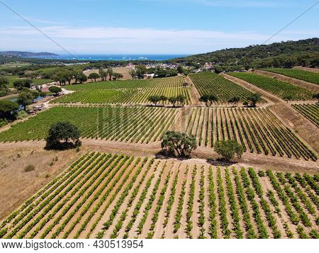 Winemaking In  Department Var In  Provence-alpes-cote D'azur Region Of Southeastern France, Aerial V