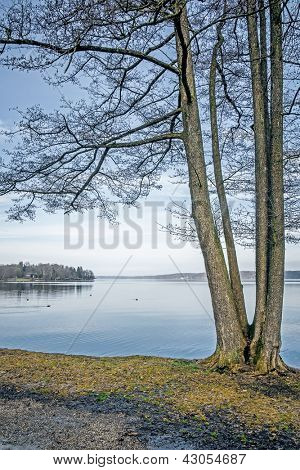Obraz jezera Starnberg v Bavorsku Německo - Tutzing
