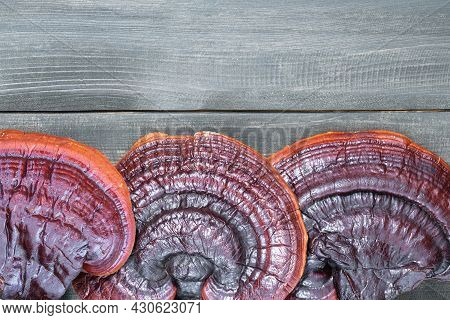 Ganoderma Lucidum Mushroom On Wooden Floor