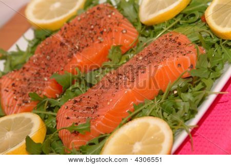 Laks Filet på en plade med nogle grøn Salat