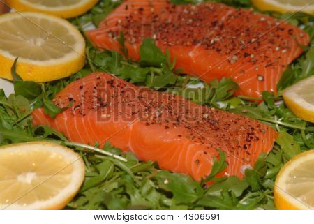 Laks Filet på en plade med nogle grøn Salat