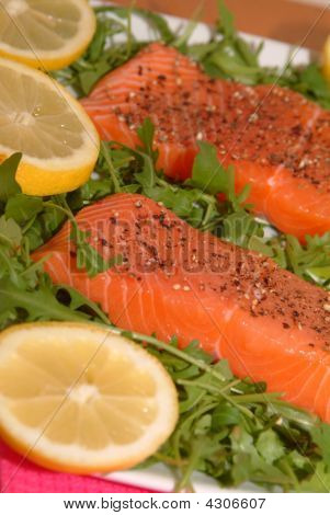 Laks Filet på en plade med nogle grøn Salat