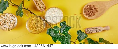 Banner Of Flat Lay Of Set Of Heap Various Grains And Cereals With Greens Leaves On Yellow Background
