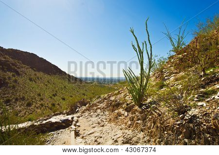 Piestewa / Squaw Peak