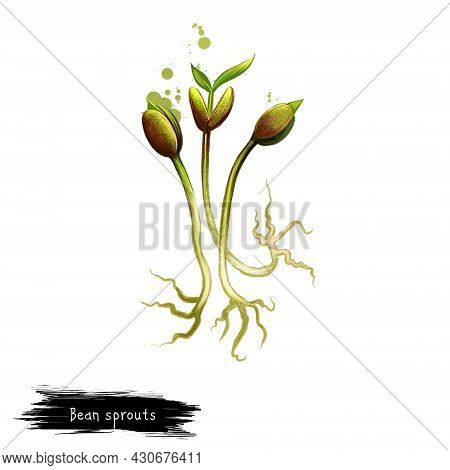 Bean Sprouts Isolated On White Background. Digital Art Illustration Of Bean Sprout Ingredient, Made 