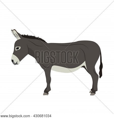 Cute Donkey. Country Pet. Isolated Character On A White Background. Vector Illustration In A Flat St
