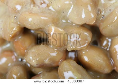 อาหารญี่ปุ่นของ natto