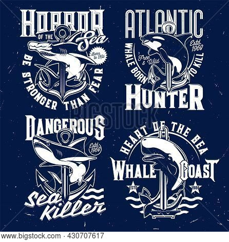 Nautical T-shirt Prints, Anchor And Marine Sea Waves Vector Emblems. Shark And Killer Whale Ocean Fi