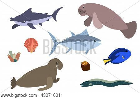 Set Of Sea Animals - Hummerhead Shark Tuna Sea Elephant Surgeonfish Manatees. Undersea World Habitan