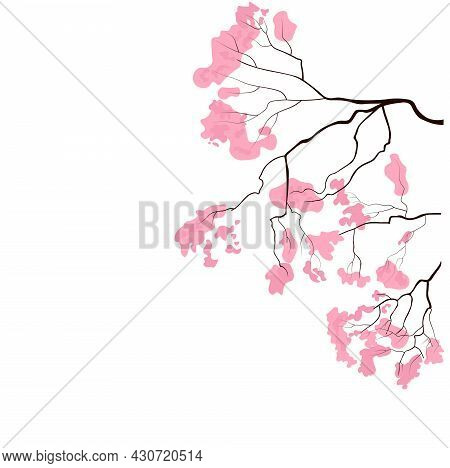 Sakura Branch Vector Stock Illustration. Korean Cherry. The Flowering Of Pink Buds. Abstract Poster.