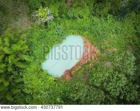 Aerial View River Forest Nature Woodland Area Green Tree, Top View River Lagoon Pond With Blue Water