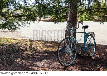 The Blue Bike In The Park Is Fastened To A Tree. High Quality Photo