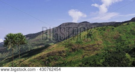 Lush Green Palani Hills (estern Ghats Mountains) Range From Kodaikanal In Tamil Nadu, India
