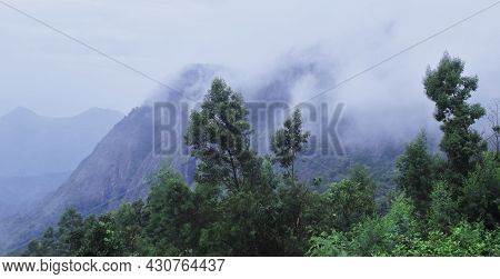Tropical Cloud Forest (rainforest) On The Slope Of Palani Hills (western Ghats Mountains) In Monsoon