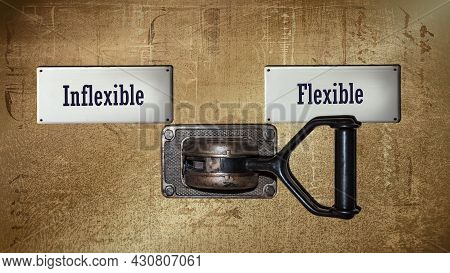 Street Sign The Direction Way To Flexible Versus Inflexible
