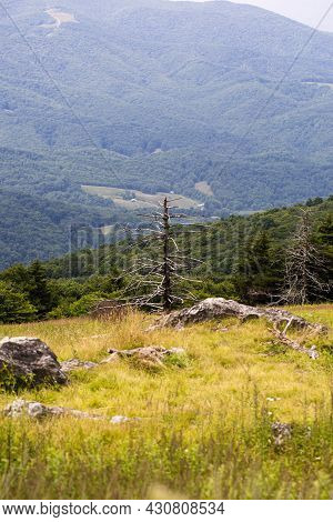 View From Whitetop Mountain In The Appalachian Mountains In Virginia