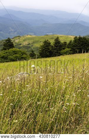 View From Whitetop Mountain In The Appalachian Mountains In Virginia