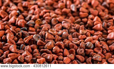 Annatto seed macro close up  