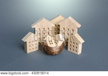 Multi-storey Houses And Small Houses In The Bird Nest. Parenting Concept. Family Metaphor. Investing
