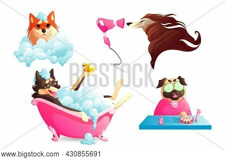 Grooming And Spa Salon For Pets. Dogs Washing In Bathtub With Soap Foam, Drying Fur And Manicure. Ve