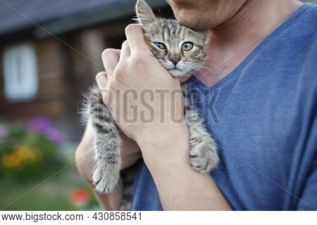 Young Guy Found And Picked Up Little Stripped Kitten During Walking In The Field And Going To Home I