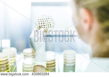Female Scientist Working With Laminar Flow At Corona Virus Vaccine Development Laboratory Research F